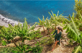 1623923030 abreu1opt