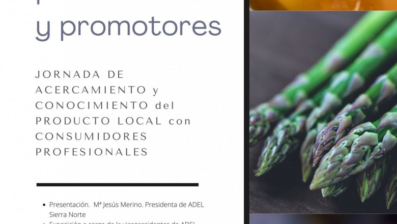 1646842526 cogolludo 