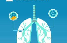 captura 20221116125218