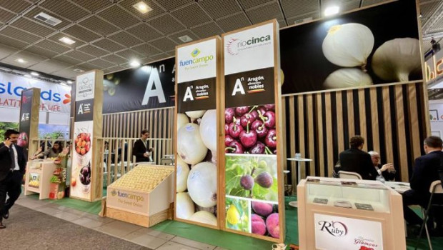 ep archivo   aragon alimentos nobles exhibe sus productos hortofruticolas en la feria fruit