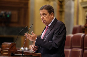 ep archivo   el ministro de agricultura luis planas interviene durante una sesion plenaria en el