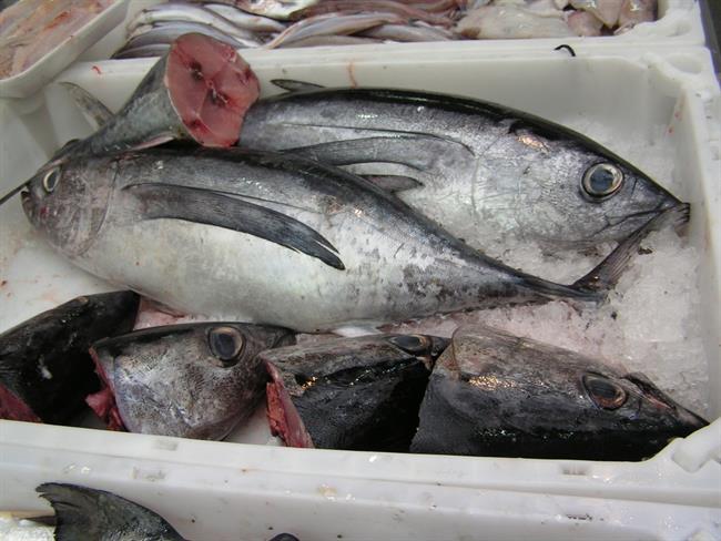 ep capturapescado