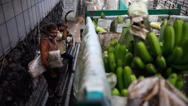 ep dos agricultores despues de introducir las pinas de platanos en un camion en tazacorte