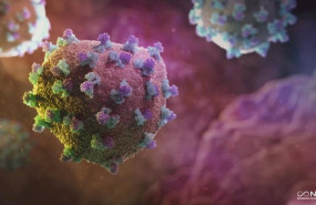 ep el virus de la hepatitis c vhc circulando por el torrente sanguineo antes de infectar a las