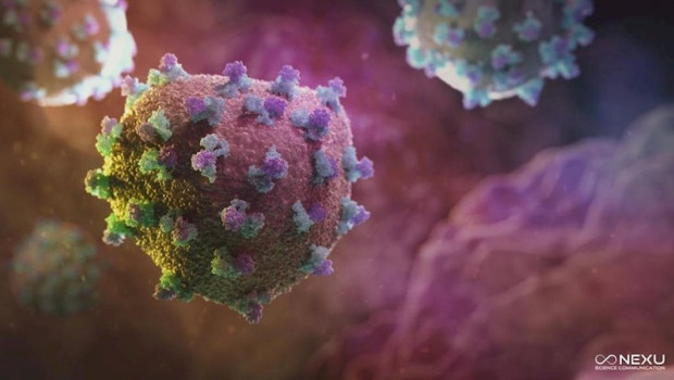 NEXU SCIENCE COMMUNICATION - Archivo ep el virus de la hepatitis c vhc circulando por el torrente sanguineo antes de infectar a las