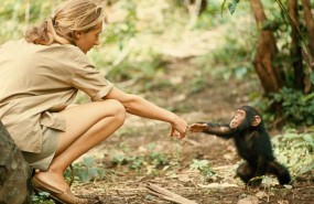 ep la primatologa jane goodallacriaun primate