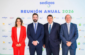 ep reunion anual de sedigas