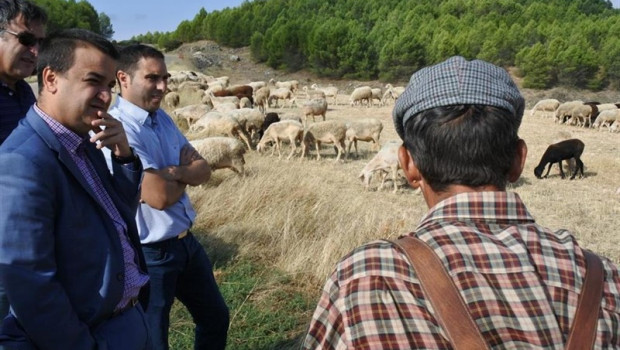 ep unos 3500 agricultores y ganaderos de c-lm en zonas de montana recibiran este viernes 54 millones