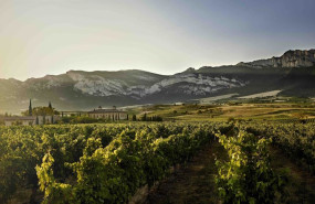 ep vinedos asociacion bodegas por la calidad de rioja  torre de ona