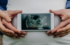 1576063202 fertilidad cambio clim