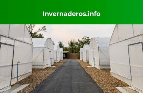 1599811791 comunicae 1599811791 comunicae