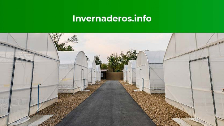 1599811791 comunicae