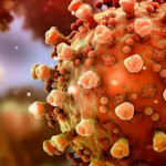 cbvirus 23q888 cbvirus 23q888