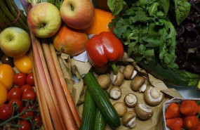 ep archivo   frutas y verduras