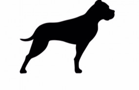 ep archivo   logo de gp bullhound