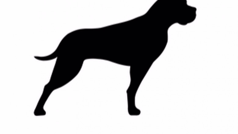 Archivo - Logo de GP Bullhound | GP BULLHOUND - Archivo ep archivo logo de gp bullhound