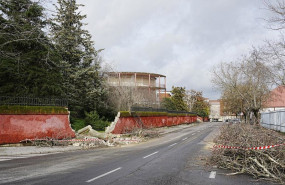 ep archivo   un arbol caido como consecuencia del viento derrumba un muro a 28 de enero de 2026 en