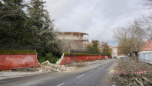 ep archivo   un arbol caido como consecuencia del viento derrumba un muro a 28 de enero de 2026 en