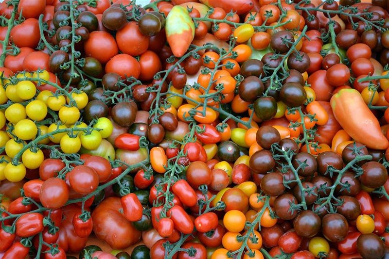 ep cajamar analiza las demandas del consumidor como motor de la innovacion agroalimentaria ep cajamar analiza las demandas del consumidor como motor de la innovacion agroalimentaria