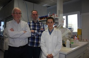 ep investigadoresla upvhan encapsuladopeptidocancer