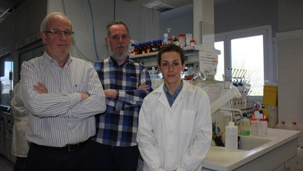ep investigadoresla upvhan encapsuladopeptidocancer
