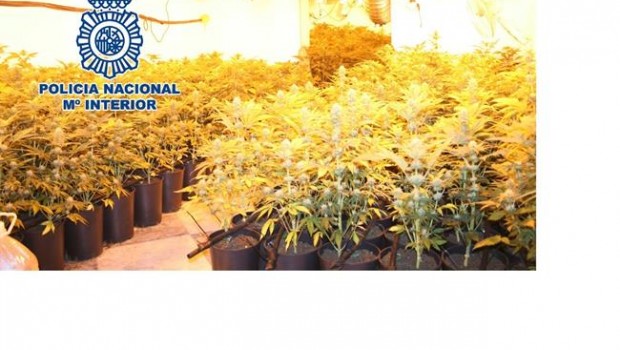 ep marihuana intervenidala policiavarias provincias andaluzas