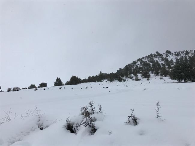 Nieve, nevada, frío, temporal | EUROPA PRESS ep nieve nevada frio temporal