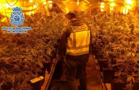 ep notaprensa fotografias e imagenes la policia nacional desmantela tres plan