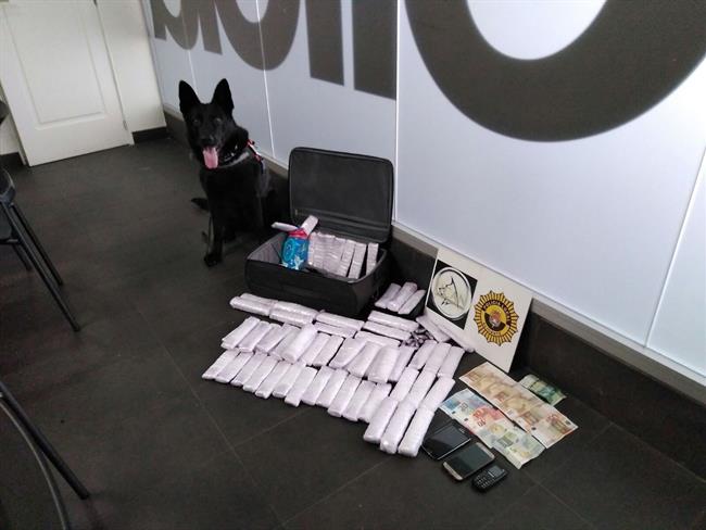 El perro que ha detectado la droga | POLICÍA LOCAL ep perroha detectadodroga