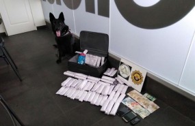 ep perroha detectadodroga
