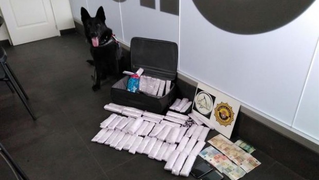 ep perroha detectadodroga
