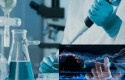 farmaciacomp farmaciacomp