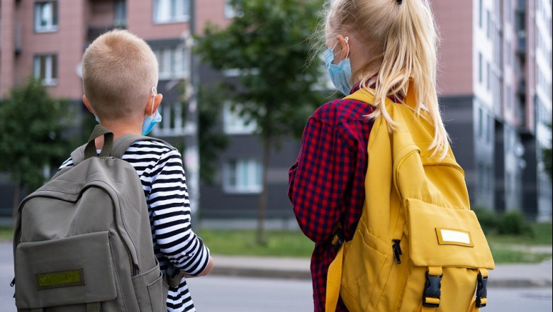 1599640836 rentokil vueltaalcole