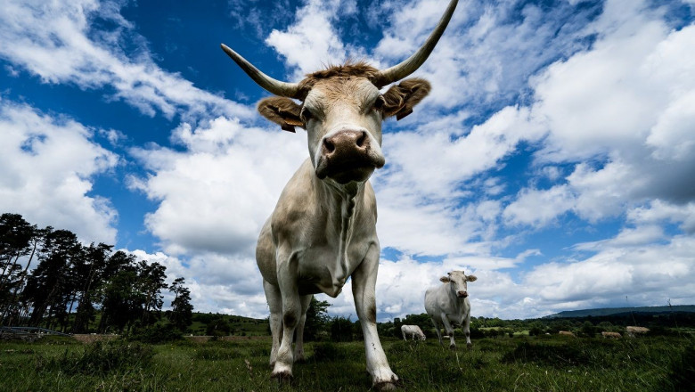 1624610012 enurbasa1614