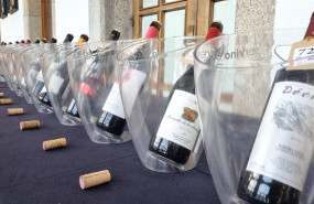 20241115 170834 20241118133732 20241115 170834 20241118133732