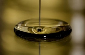ep aceiteoliva 20170829142502