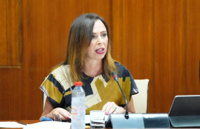 ep archivo   la consejera de fomento rocio diaz en comision imagen de archivo
