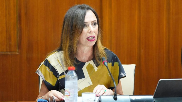 ep archivo   la consejera de fomento rocio diaz en comision imagen de archivo