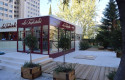 ep archivo   la tagliatella