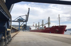 ep atraca en ferrol un buque con 20000 toneladas de carbon para la central termica de endesa en as