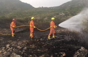 ep bomberos trabajando en un incendio forestal