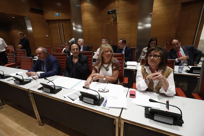 Comisión de Investigación sobre la financiación de los partidos en el Senado | EUROPA PRESS ep comisioninvestigacionla financiacionlos partidossenado