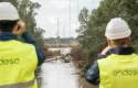 ep endesa eleva a 355 millones inversion en reforzar y mantener su red de distribucion electrica
