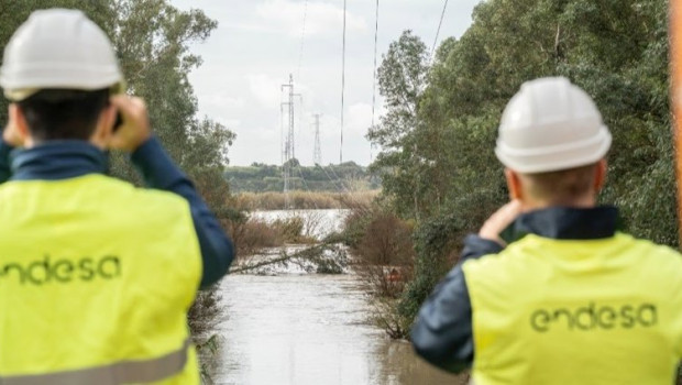 ep endesa eleva a 355 millones inversion en reforzar y mantener su red de distribucion electrica
