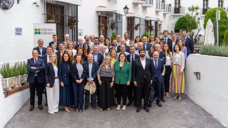 ep foto de familia de los asistentes a la reunion plenaria de la mesa del tabaco ep foto de familia de los asistentes a la reunion plenaria de la mesa del tabaco
