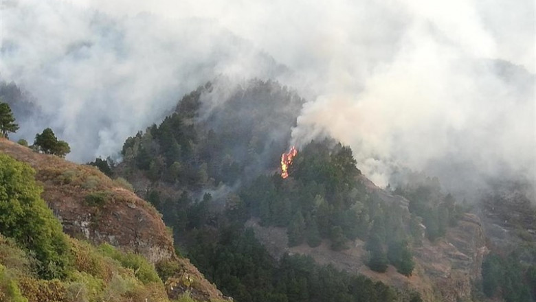 ep incendio de valleseco en la isla de gran canaria