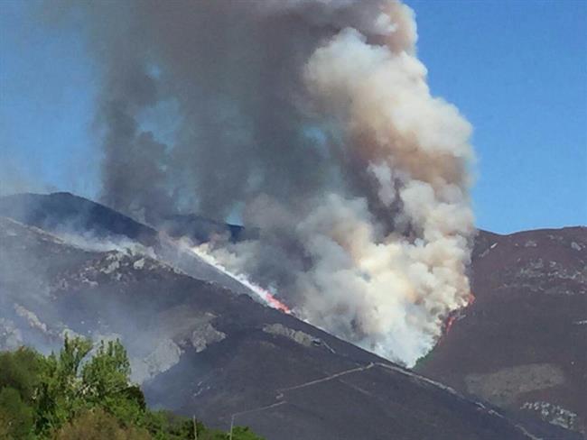 Incendio en Muniel.Los | COORDINADORA ECOLOXISTA ep incendiomuniellos