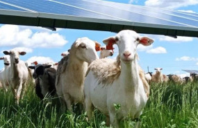 ep instalacion fotovoltaica 20260304101803 ep instalacion fotovoltaica 20260304101803