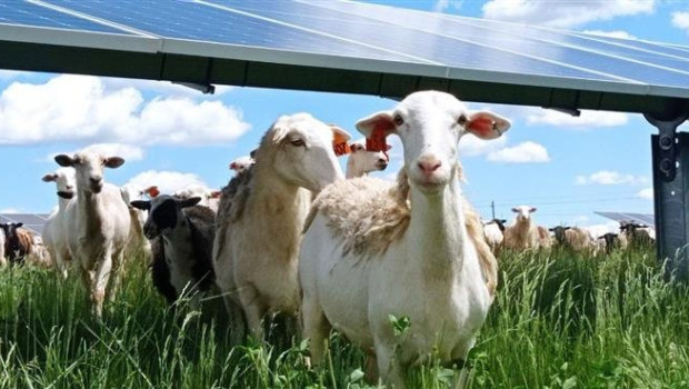 ep instalacion fotovoltaica 20260304101803