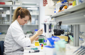 ep la fundacion mutua destina nuevas ayudas a personas vulnerables e impulsa la investigacion medica